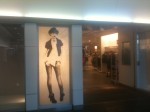 IMG_10270 IMG_10270