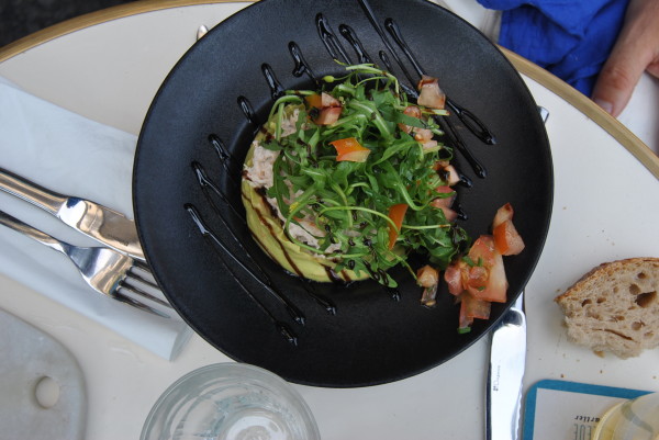 starter maison bleue gacamoule