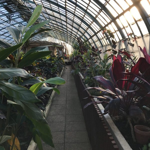 Garden Jardin des Serres d'Auteuil