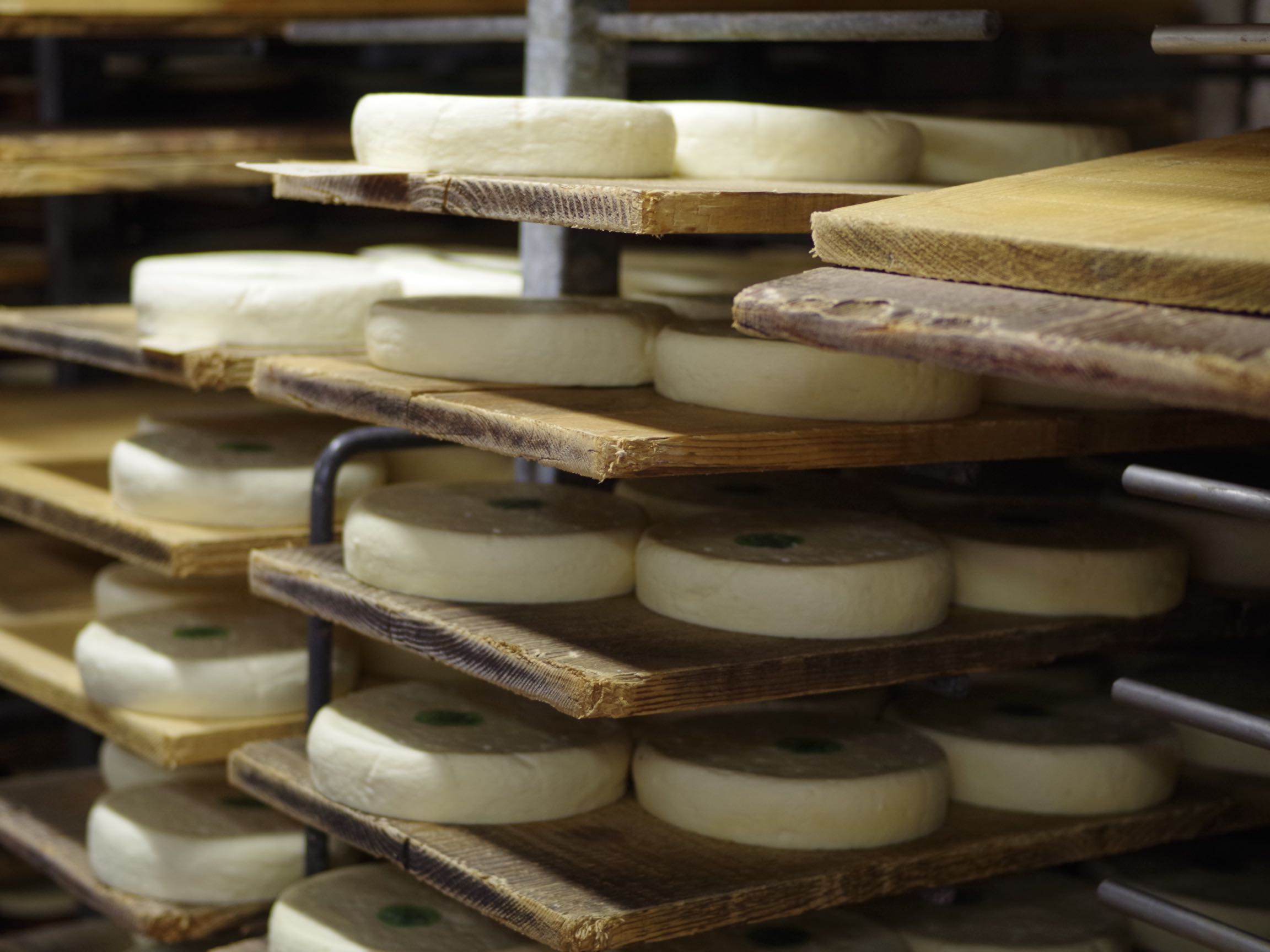 PARIS TO SAVOY: Discovering Reblochon Cheese